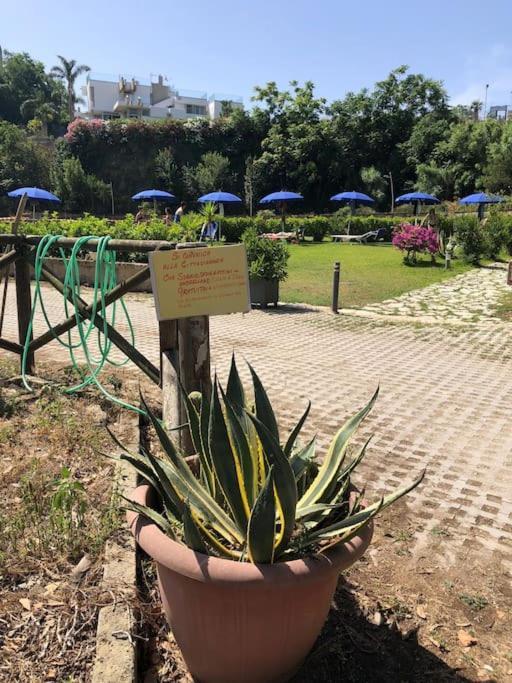 Appartamento Domus Zagare - Wi-Fi Baia  Esterno foto